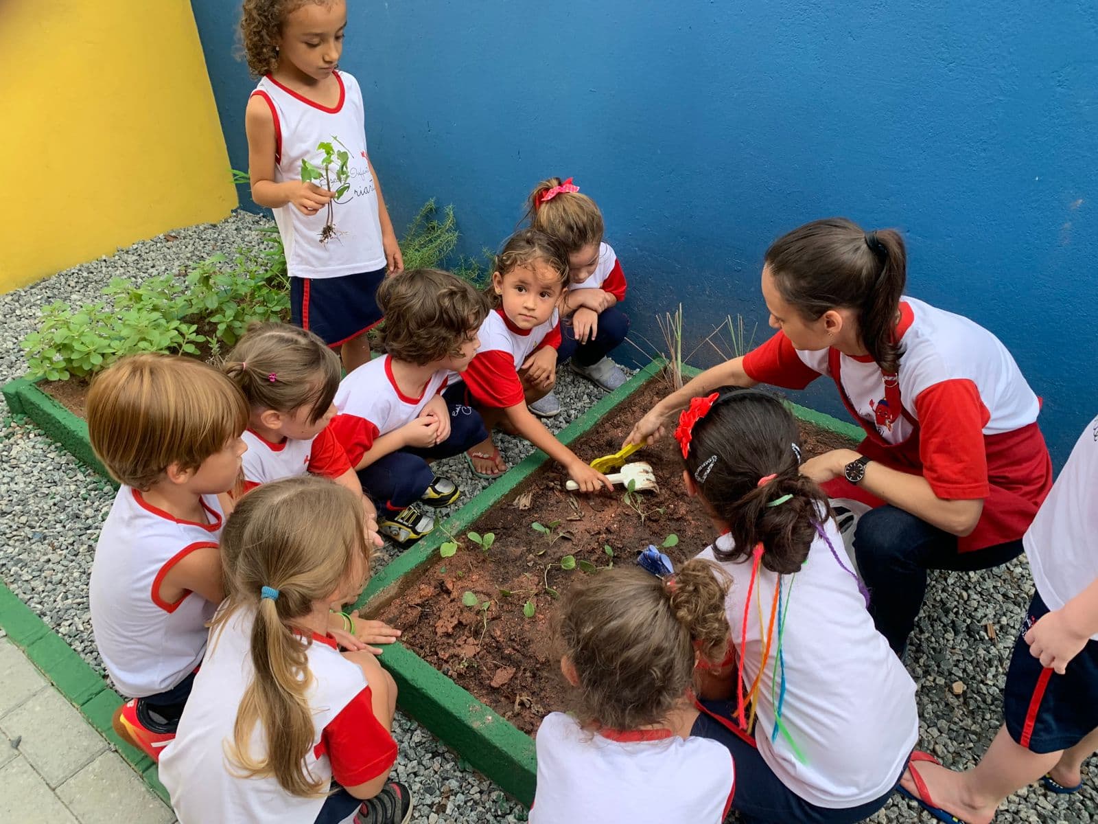 A importância da horta na escola Criarte